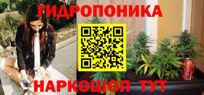 прущие крисы Северобайкальск