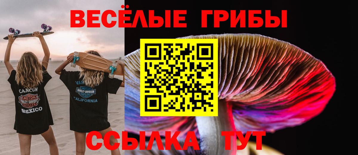 Сердобск  Псилоцибиновые грибы MAGIC MUSHROOMS  как найти закладки  Вход с VPN 